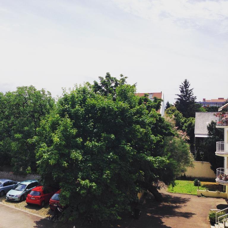 Tuenderpart Apartment Eger Rum bild